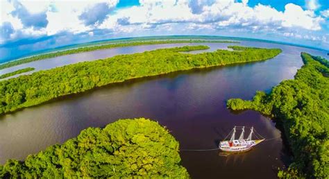 Manaus Tour Guide: Amazon Rainforest Adventure Awaits