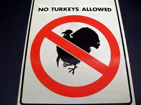 What is not allowed to bring to Turkey?