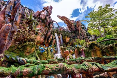 Is Animal Kingdom Done Forever?