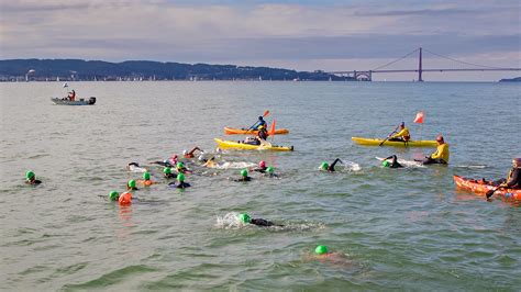 Is The San Francisco Bay Clean To Swim In?