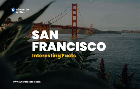 What Is A Funny Fact About San Francisco?