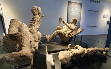 What museum has the bodies from Pompeii?
