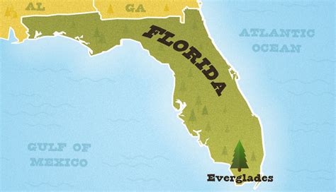 How Much Of Florida Is Everglades Is Left?