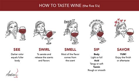 What Are The 5 Tips For Wine Tasting?